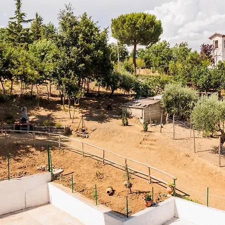 Bed & Breakfast Il Rifugio Di Olea