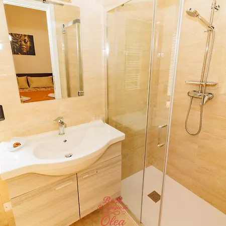 Bed & Breakfast Il Rifugio Di Olea Picerno